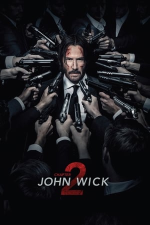 John Wick: Chapter 2017