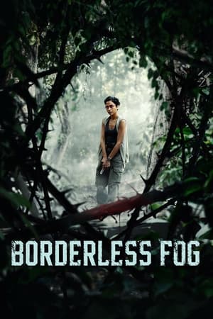 Borderless Fog 2024